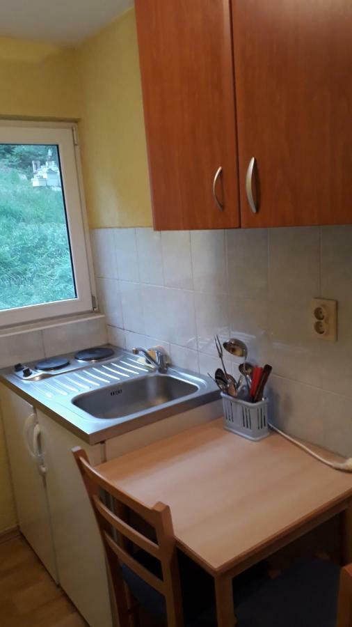 Vila Ruska Prčanj 外观 照片
